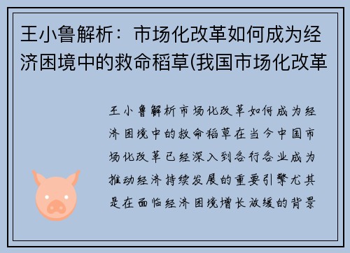 王小鲁解析：市场化改革如何成为经济困境中的救命稻草(我国市场化改革主要经验)