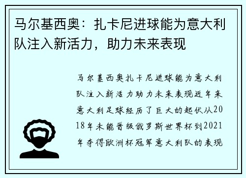 马尔基西奥：扎卡尼进球能为意大利队注入新活力，助力未来表现